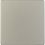 Central plate for sensor insert, KNX, stainless steel matt, lacq.