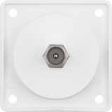 Integro Inserts-Aerial Connector Box TV Connection in F-System, Polar