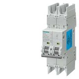 Circuit breaker 10kA, 2-pole, C, 6A...