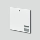 BKV 611-3/3-0 W Uitnamedeur