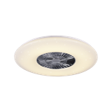 Visby LED ceiling fan 75 cm white starlight