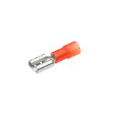 Insulated flat socket tip 6.3 mm, red, 0.5–1.5 mm²