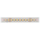 FS 160, UWW, Ra=90+, 37,0W/m, 3350lm/m , 24VDC, IP20, l=5m