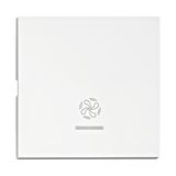 Rocker S 50 with tranparent control window, symbol fan,white