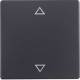 Rocker imprinted arrows symbol, Q.1/Q.3, ant. velvety, lacq.