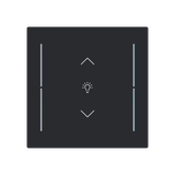 LFDW/A.1.70.1-45M Cover plate with legend with Symbol "dimming" black matt - Trevion®