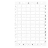 Labeling plates, on label holder 17.5x27 mm, white