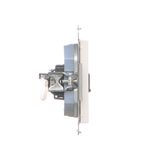 Cover for double socket with earthing - for Nature frames, Bronze matt, metalic