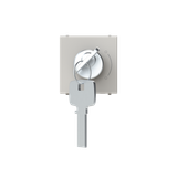 Key switch 2 positions - 2M - Dune