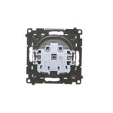 Computer socket RJ45 category 5e + telephone socket RJ12, (module), Inox, metallized