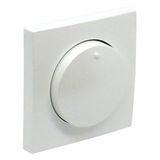 COV PLAT F/DIMMER/TWO-WAY SWITCH ICE