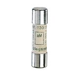 Cylindrical Fuse aM 0.5A 10x38mm
