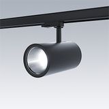 GRAFFITI 2800-930HE SWI 3GU FL BK 12X - Spotlight