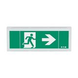 FlexiTech Exit Wall 12m CG-S