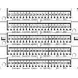 Marking tags 301-350 (each 2x)
