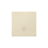 Single button for switches and push buttons, champagne matt