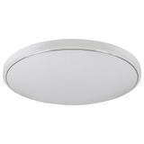 BRUCE LED 60W 3000-6000K 2118