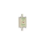 Fuse-link NH00 aM 500VAC 160A live tags Double indicator