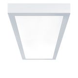 CL2 S 8000-RGBW L1250 SG MP LDO - Normal purity luminaire