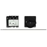 P3 Main switch, 80 A,Rear mounting, Form M4/SVB