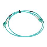 Patch cord fiber optic LC/LC fiber (50/125µm) OM4 1m