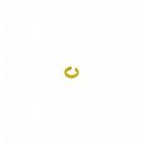 V1-MARKING-RING-YELLOW connector
