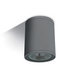 ANTHRACITE CYLINDER PAR30 E27 20W IP54