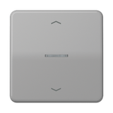 ENet push-button standard 1-gang FMCD1700PGR