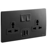 2G MULTISTANDARD SWITCHED SOCKET + USB TYPE A+C 3A BRUSHED BLACK