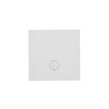 Single button for switches and push buttons, light gray matt