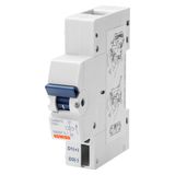 UNDERVOLTAGE PROTECTION 230V SEZ.ACC.1M