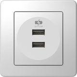 POWER SUPPLY UNIT USB 5V 2,4A PW