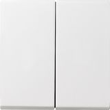 rocker 2-g + seal IP44 Standard 55, Gira E2 p.white m