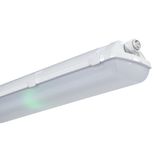 LINEA 2.4ft 6400/840 DALI M3h LED interior light 2x3200 lm 42W IP54