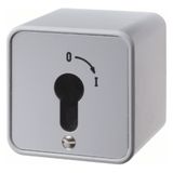 2-pole changeover switch for key cylinder, surface-mounted, cast IP44