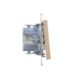 SOON ON SALE, double socket outlet with earthing for IP44 version with frame seal, with shutters, (module), Simon 24, IP20/IP44, 16A, cashmere