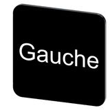 Labeling plate 22 x 22 mm, label black, labeling: GAUCHE