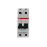 S202L-C20 Miniature Circuit Breaker - 2P - C - 20 A