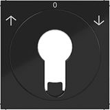Centr.pl. blind switch/pulse driver DIN-cylinder arrow symbol A.x/C.x black gl.