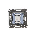 Double angled Keystone IT/telephone socket cover with descriptive field, (cover), Simon 24, IP20/IP44, graphite mat