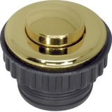 Push-button, NO contact, TS, gold glossy, 24-carat galvanised