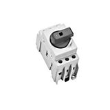 CAPUS Panel - Switch-disconnector 3 pole 63A, 16 - 25mmý