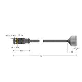 Actuator and Sensor Cable, PUR Connection Cable   RKC12T-5/TXL