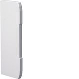 Endcap overlapping for wall trunking BRN 70x170mm of PVC in pure white