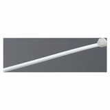 Cable Tie 3.6x292mm Colourless