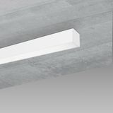 MADRID 6633 LED 13W CLD BIANCO