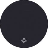 Rocker imprinted symbol for light, R.1/R.3, black glossy