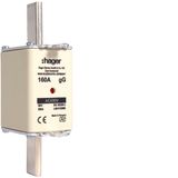 NH fuse NH1 gG 690V 160A with twin indicator and live gripping lug