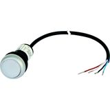 C22-DL-W-K10-24-P62 Illuminated pushbutton actuator, Flat, momentary, 1 N/O, Cable (black) with non-terminated end, 4 pole, 1 m, LED white, White, Blank, 24 V AC/DC, Beze