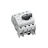 CAPUS Panel - Switch-disconnector 3 pole + N, 63A, 16-50mmý